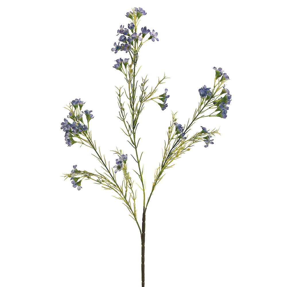 Blue Single Waxflower Spray