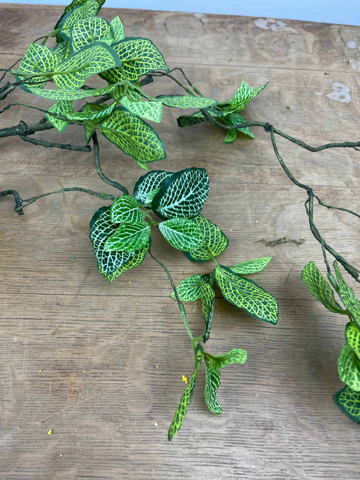 48" Bendy Fittonia Vine