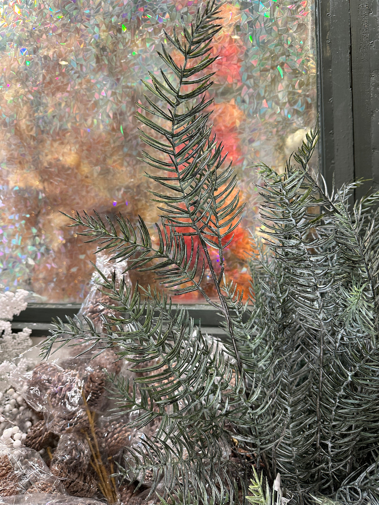 Mixed First Snow Blue Spruce Pine Spray