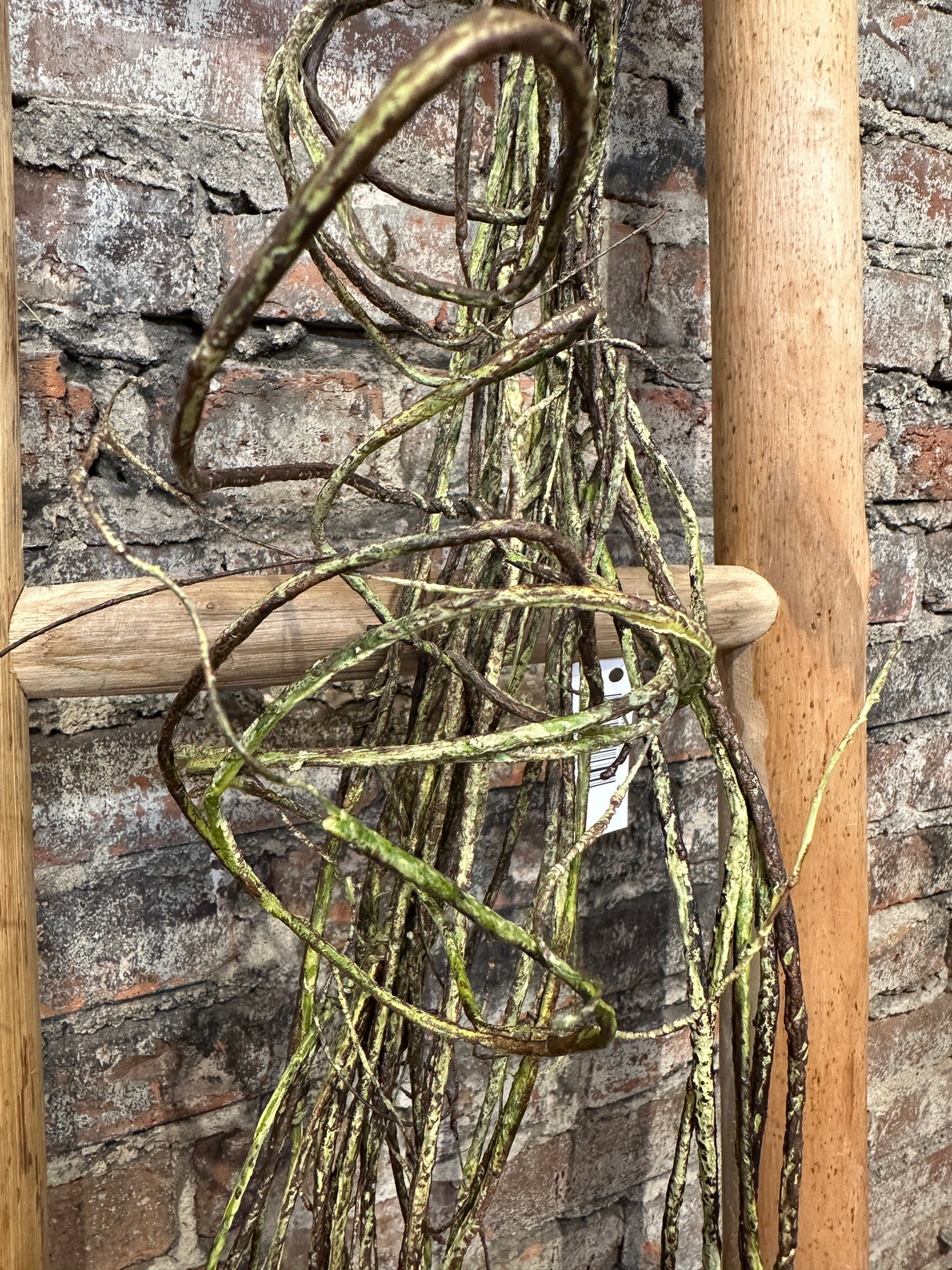 Brown Green Willow Bendy Vine Garland
