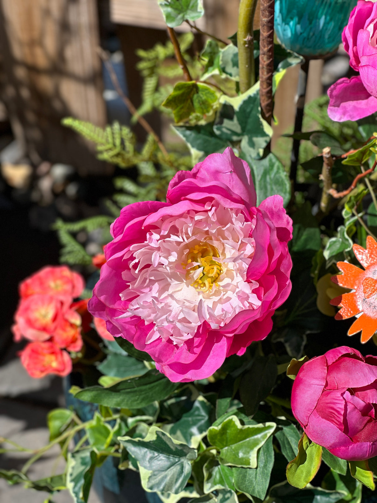 Pink Ombre Peony Spray