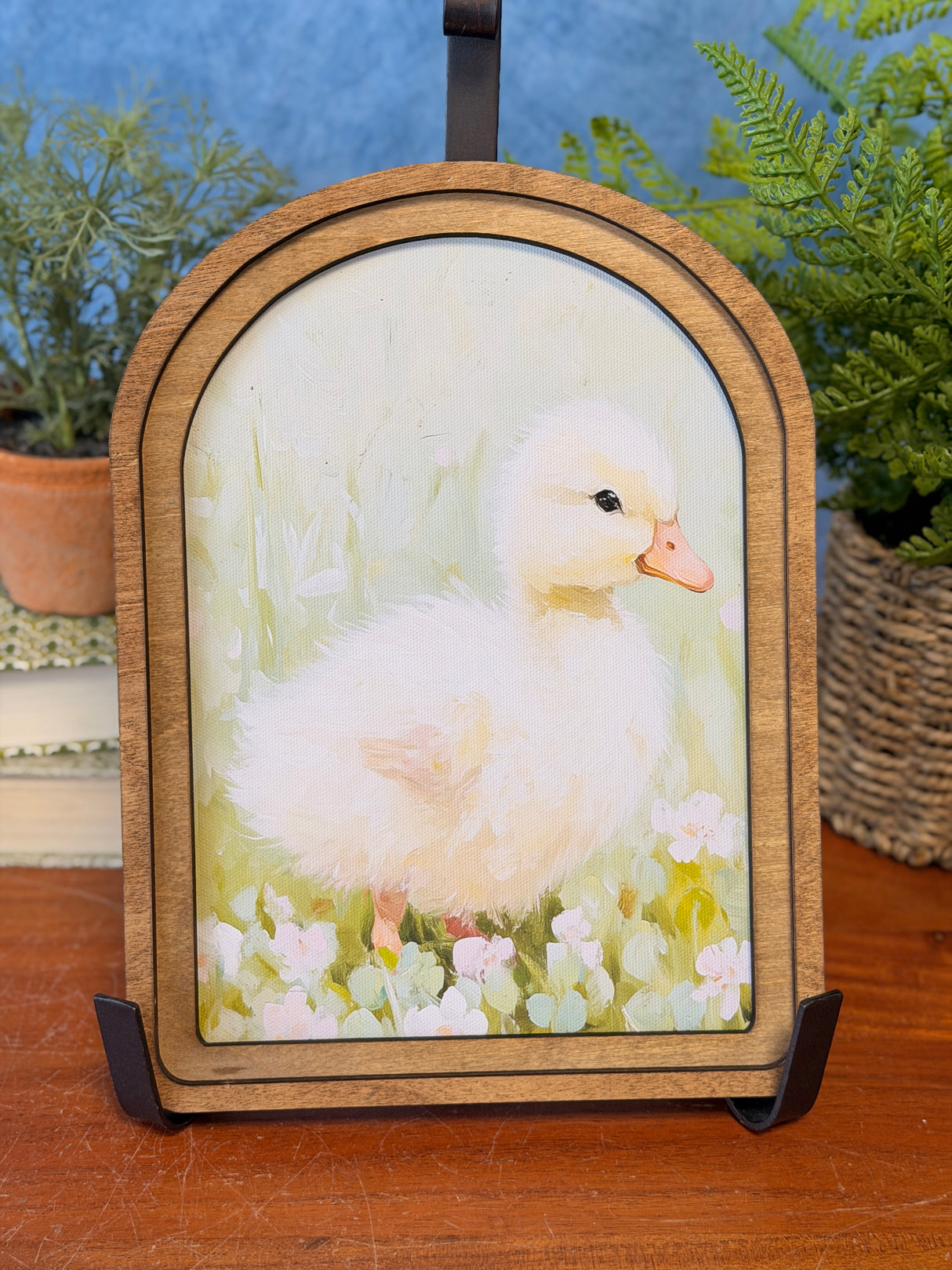 Arch Top Fluffy Duckling Framed Art