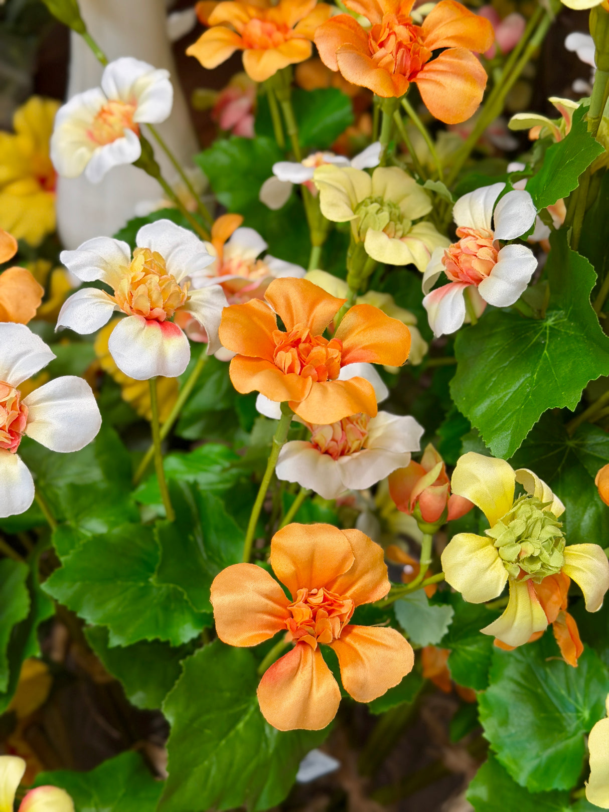 Yellow Mixed Nasturtium Bundle