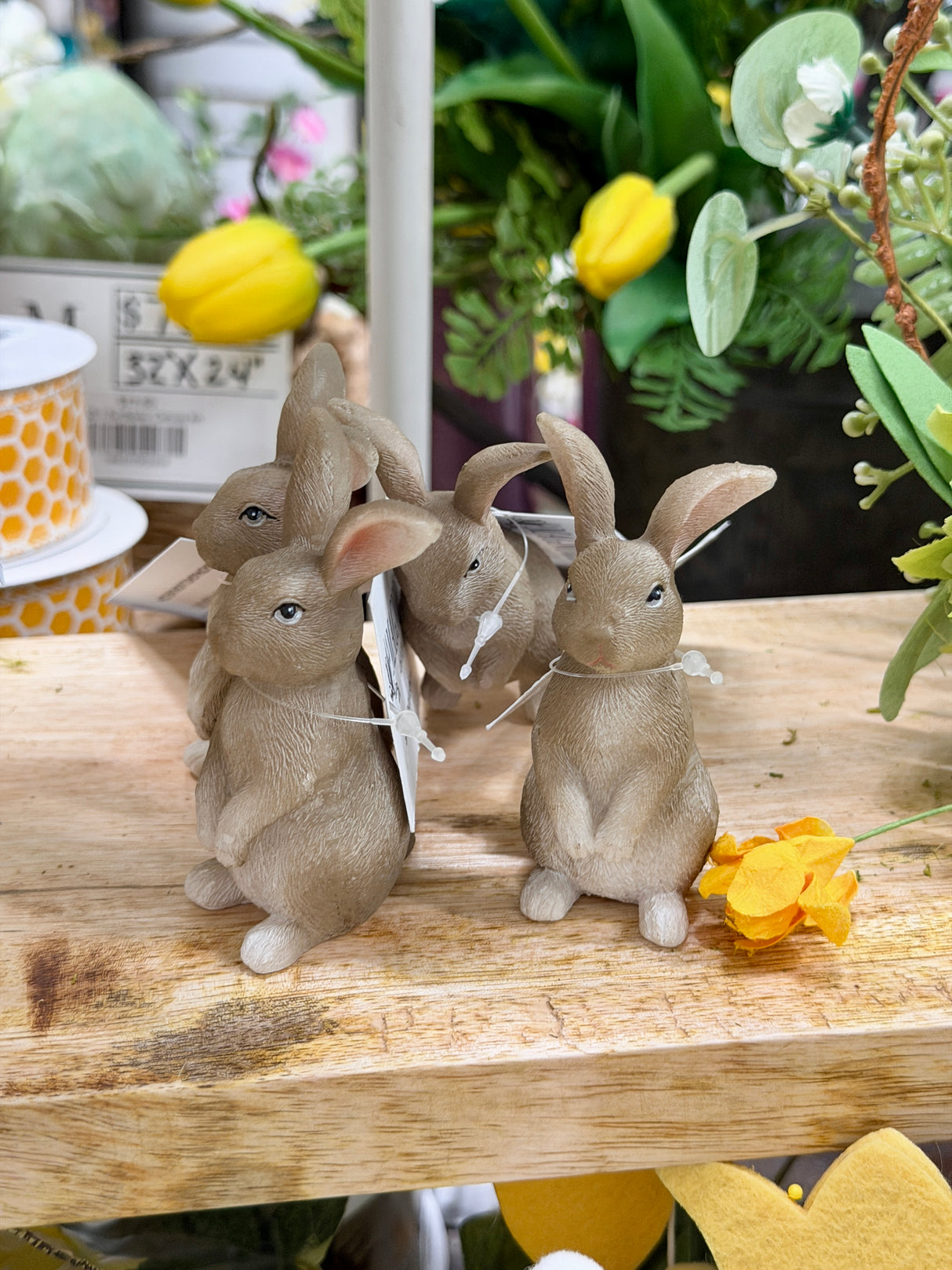 Neutral Bunny Accent