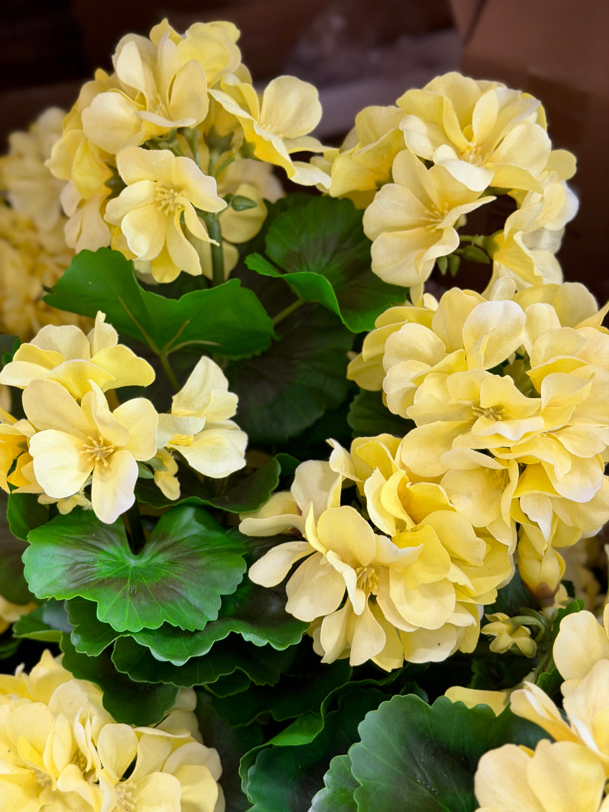 UV Protect Real Touch Yellow Geranium Bush