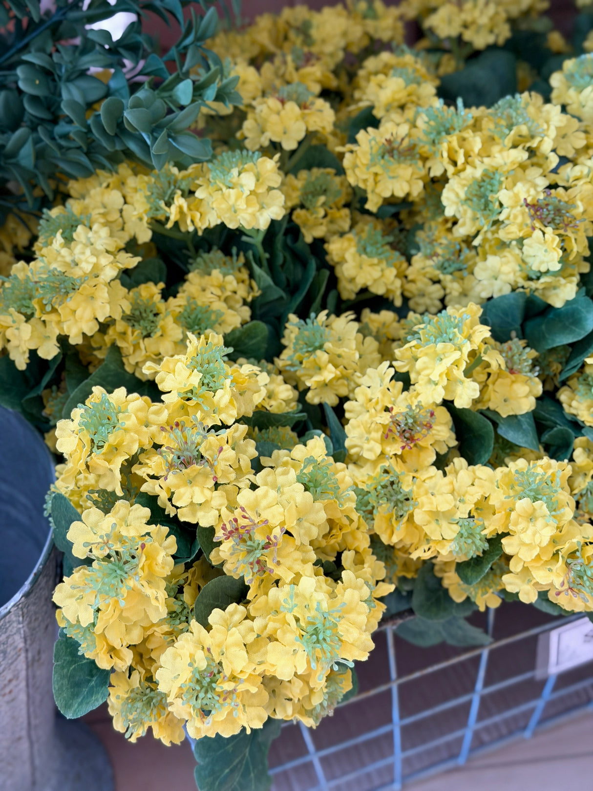 Yellow Lantana Bush