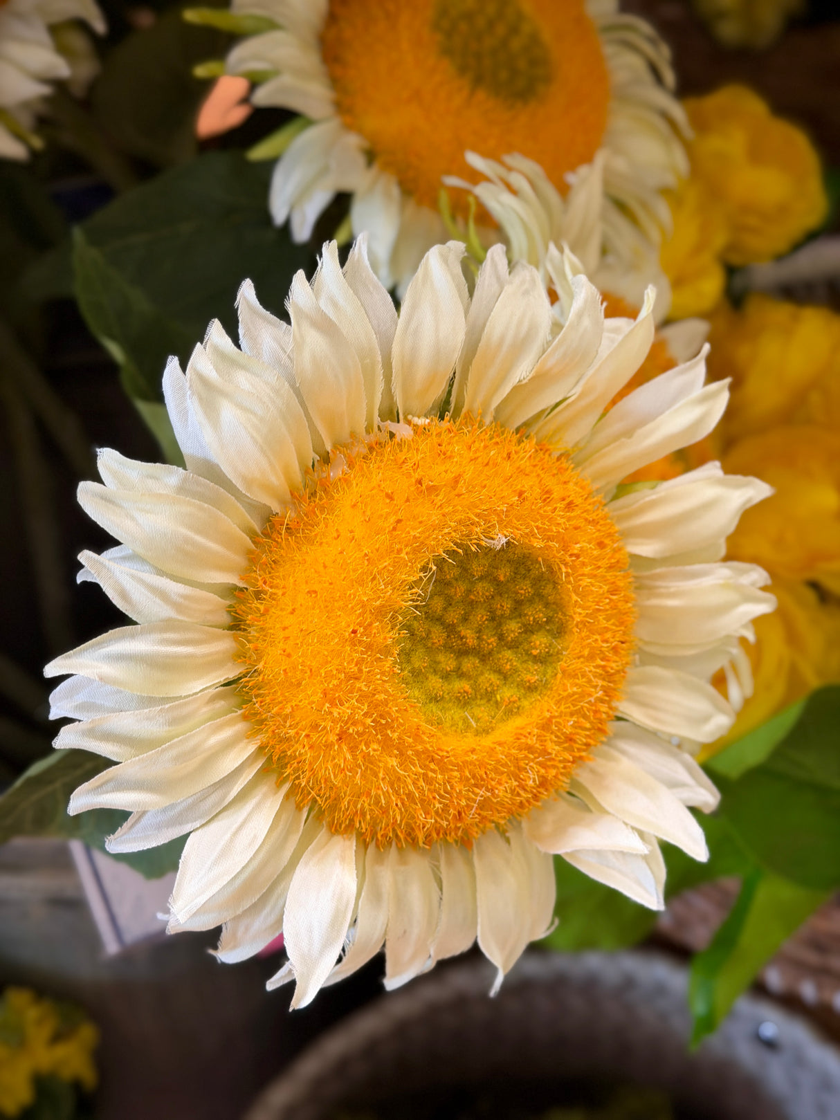 White Sunflower Spray