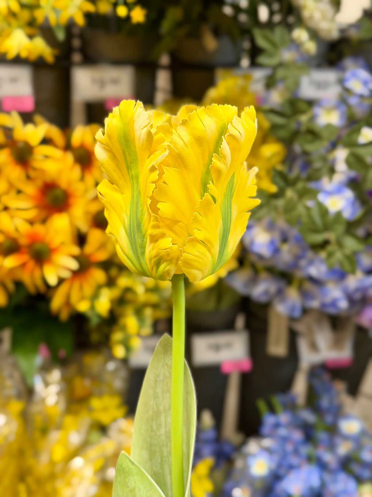 28" Yellow Parrot Tulip Spray