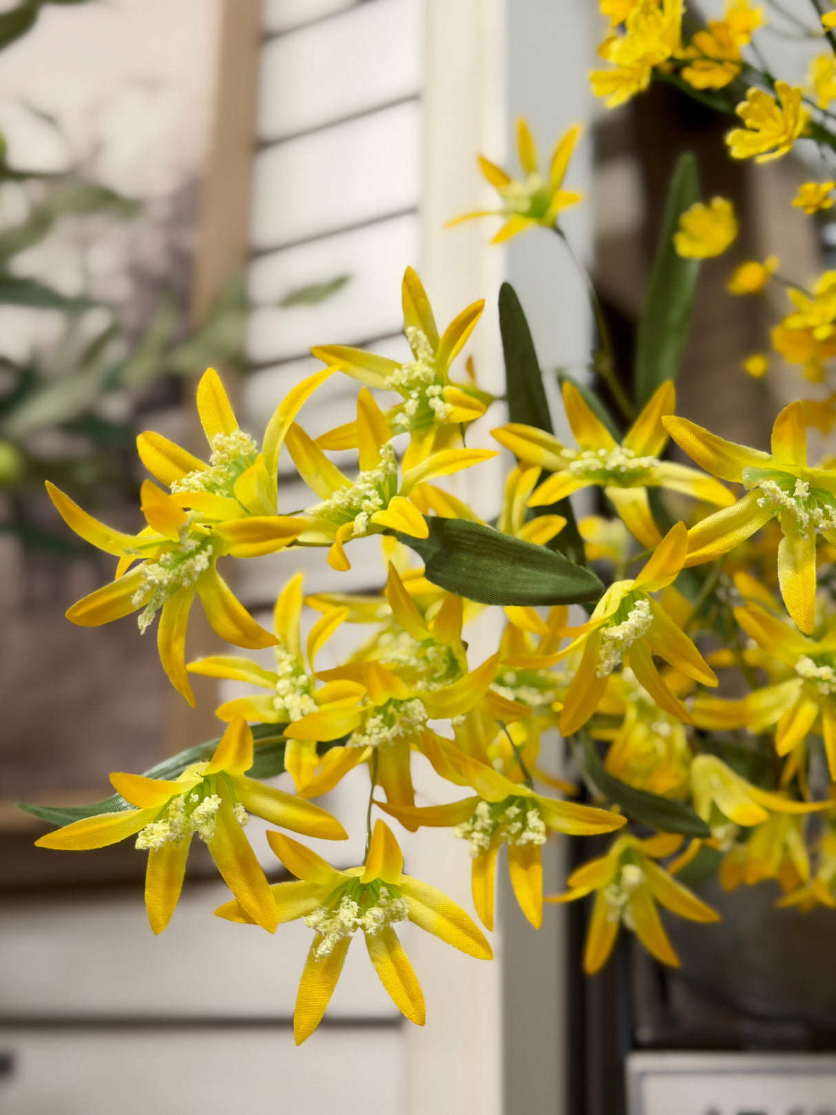 Yellow Tweedia Spray