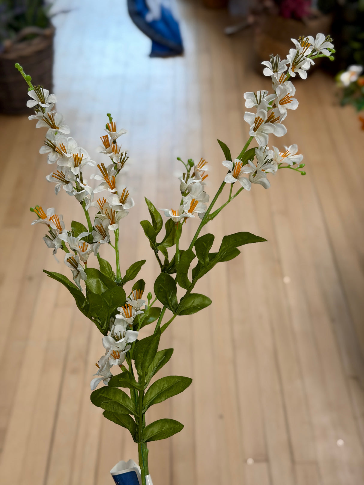 White Vinca Spray