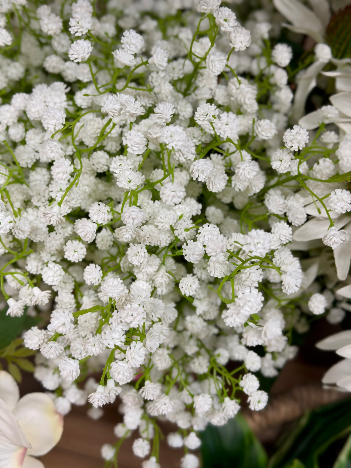 Whtie Gypsophilia Spray