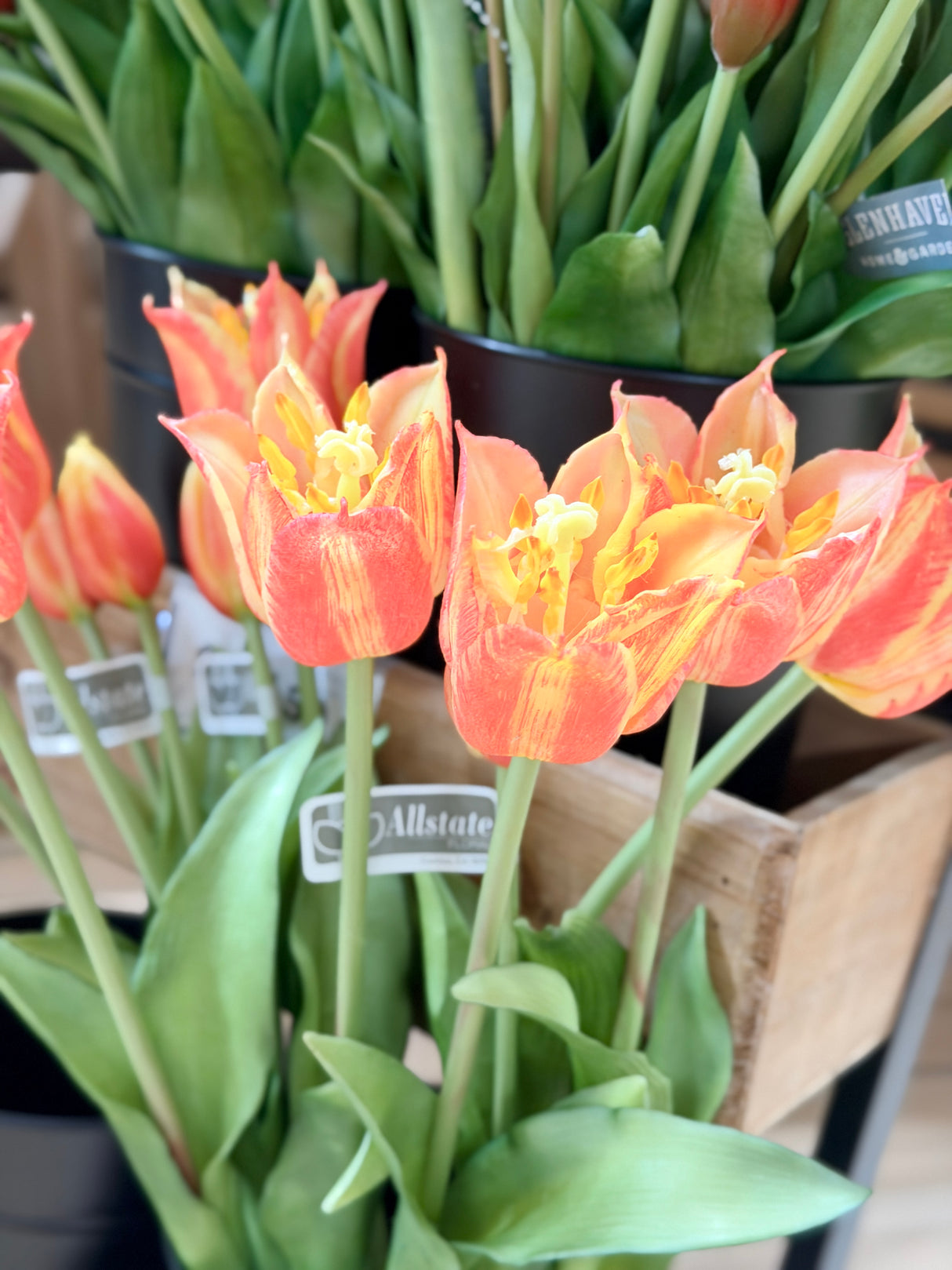 Coral Real Touch Parrot Tulip Bouquet