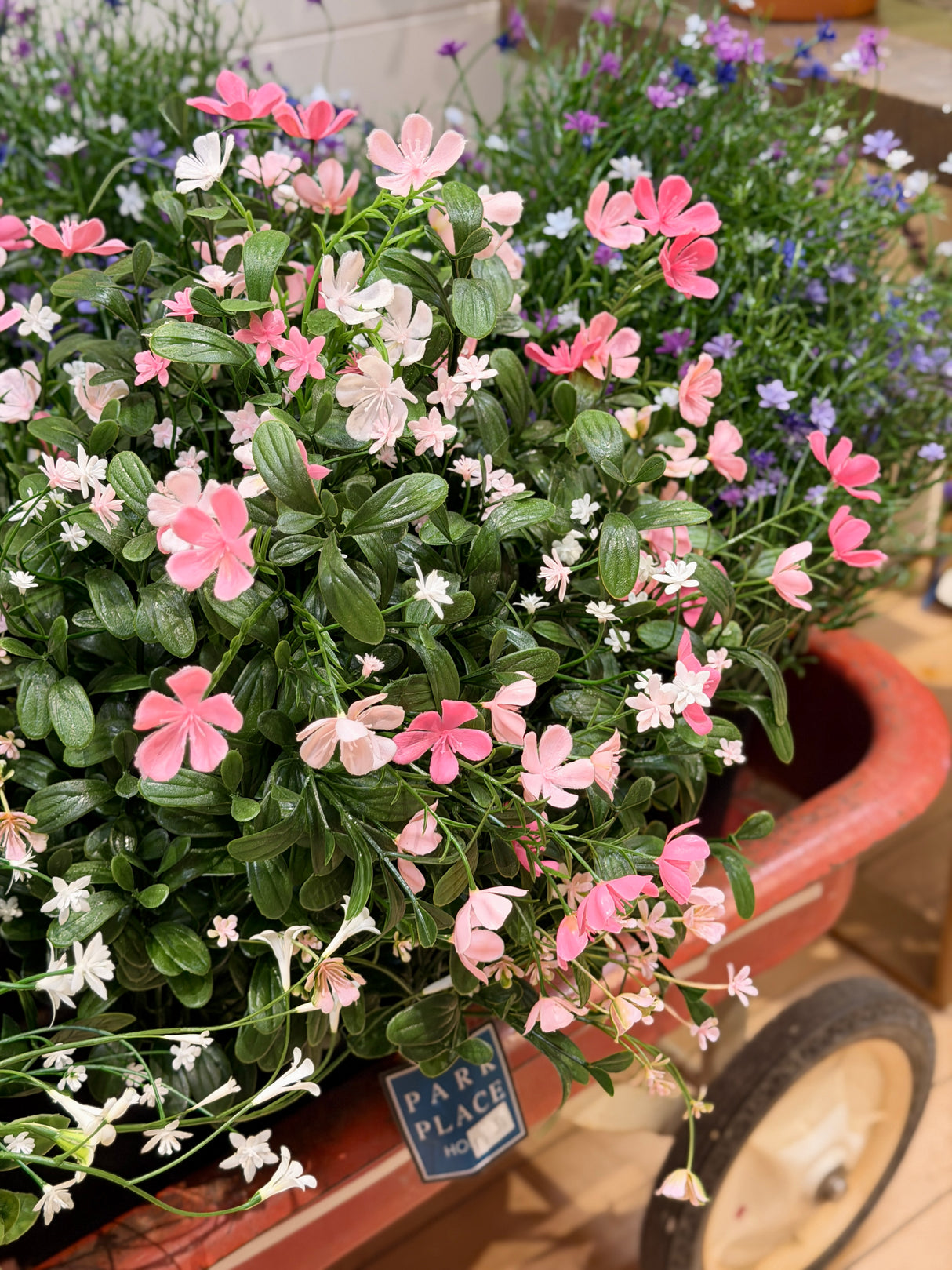 UV Protect Pink White Mini Flower Plant