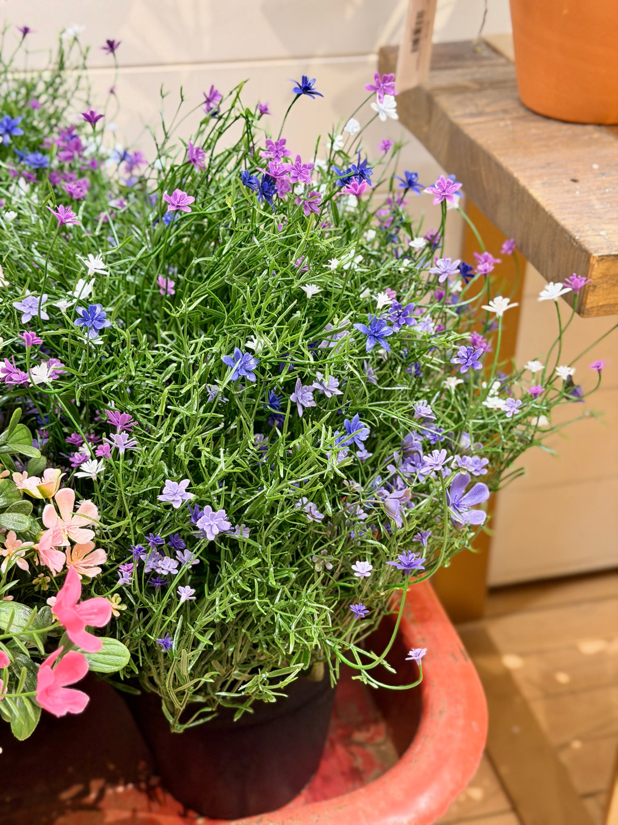 UV Protect Mini Purple Flower Plant