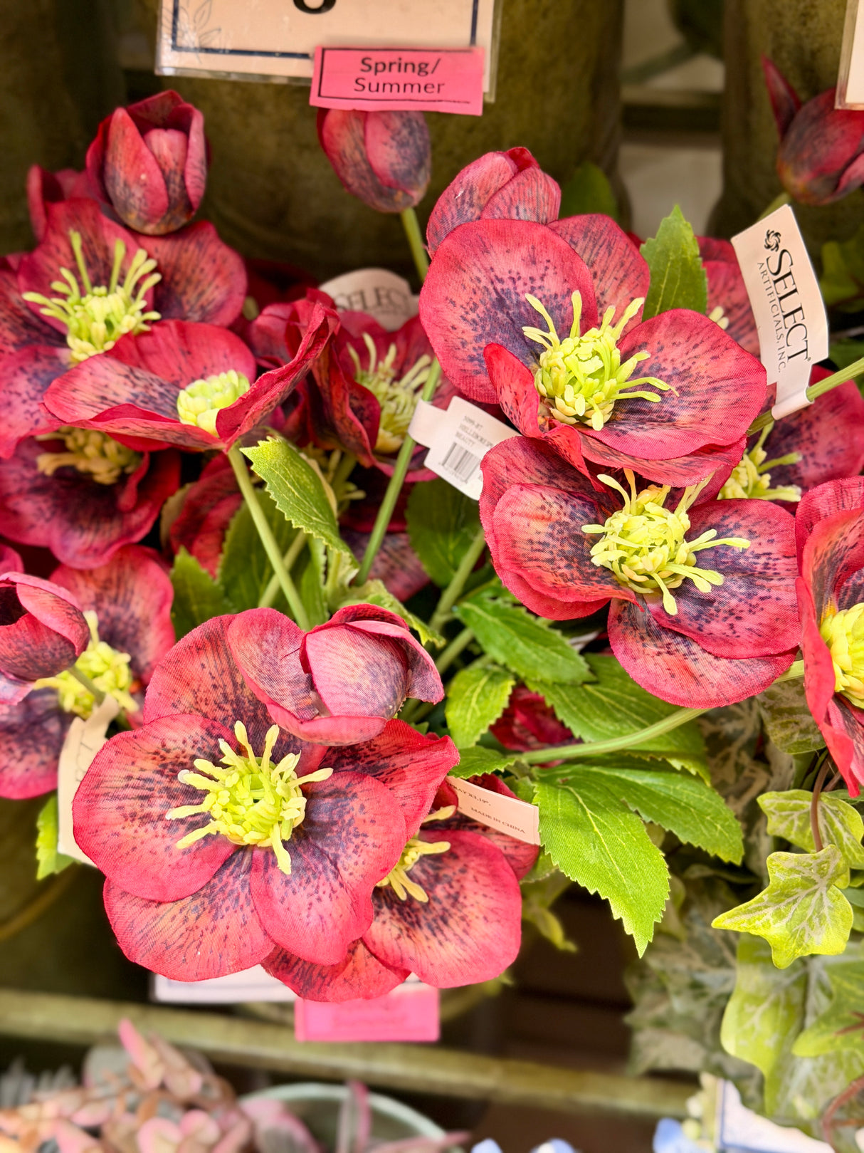 Sophia Hellebore Spray