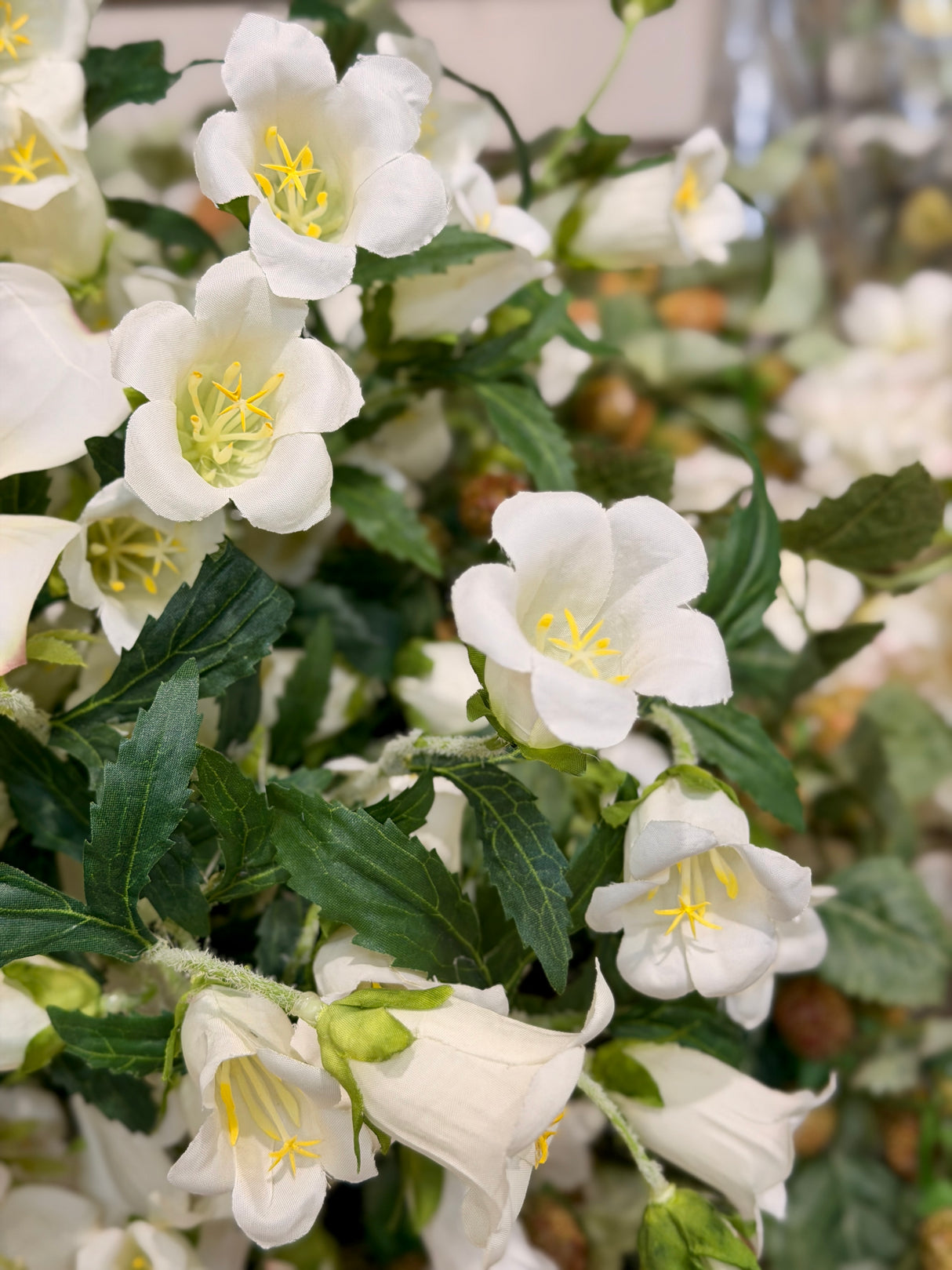 Cream Campanula Spray