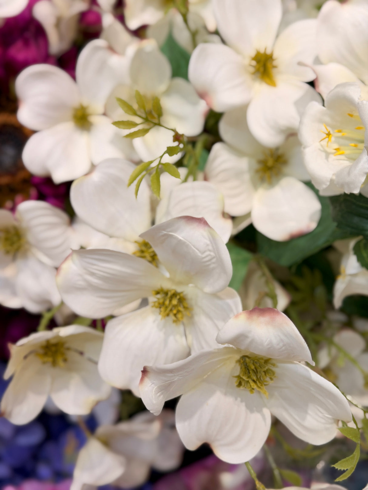 White Dogwood Spray