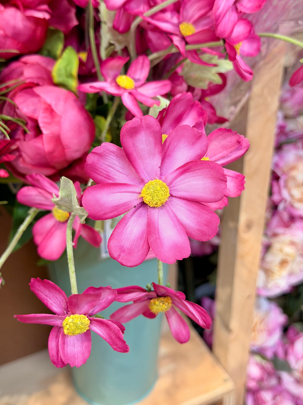 Pink Beauty Cosmos Spray