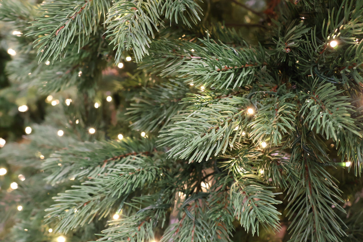 7.5' Dual-Lit Prospect Pine Christmas Tree