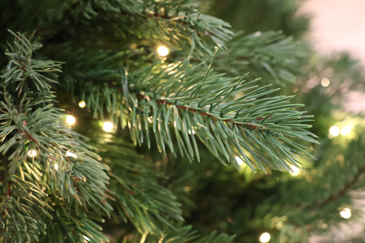 7.5' Dual-Lit Prospect Pine Christmas Tree