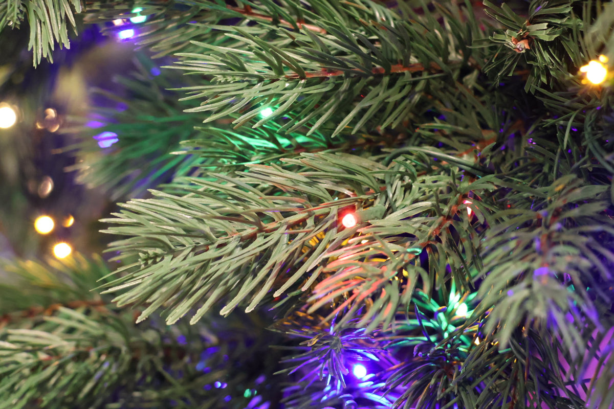 7.5' Dual-Lit Prospect Pine Christmas Tree