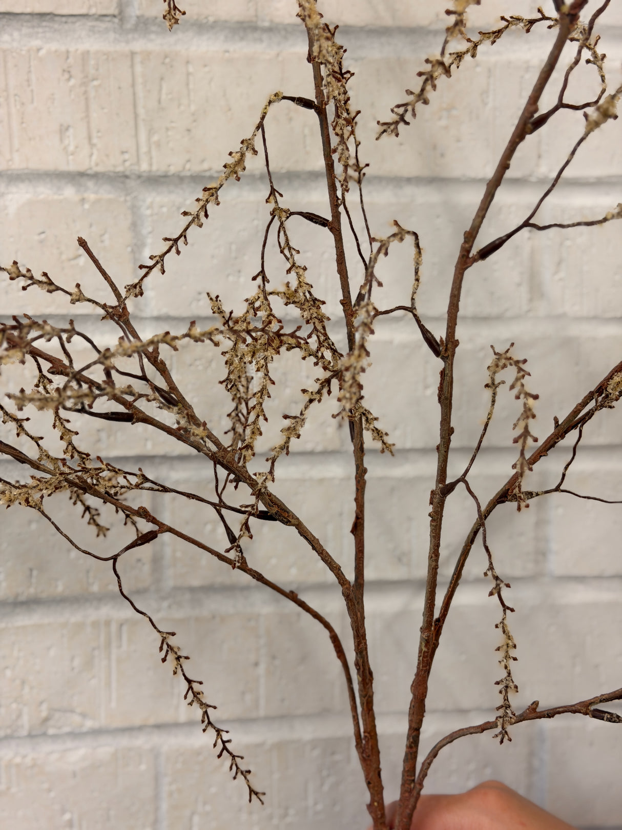 Beige Spiraea Leaf Spray