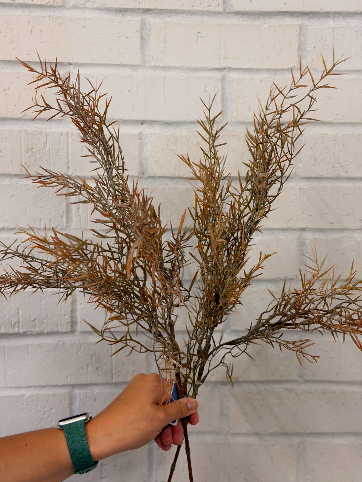 Dried Bamboo Leaf Spray