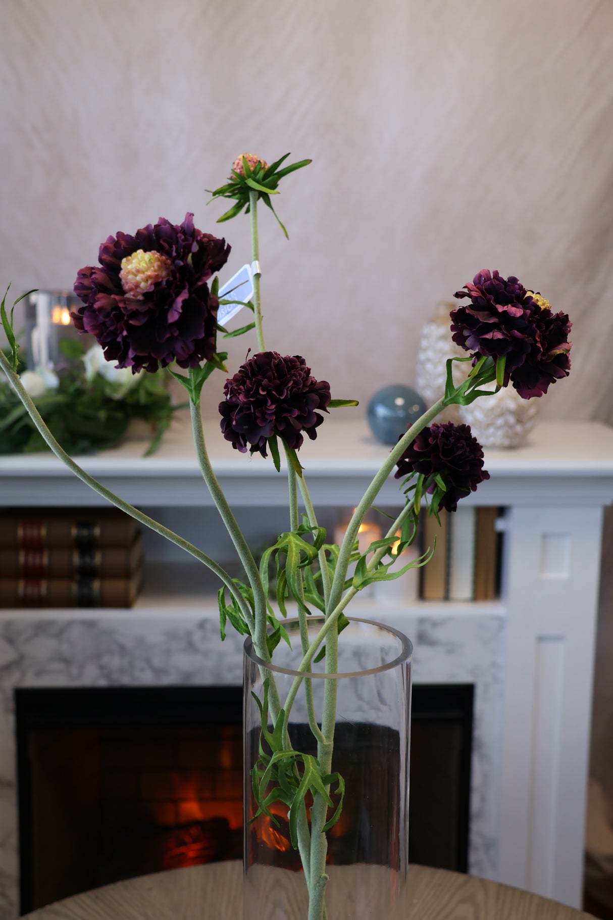 Eggplant Scabiosa Spray
