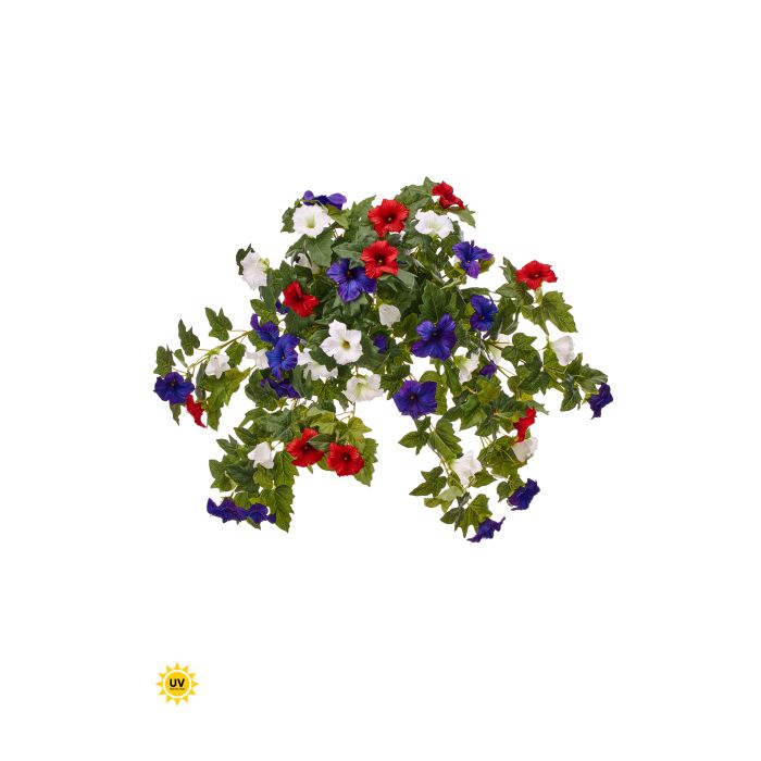 UV Protect Petunia Bush