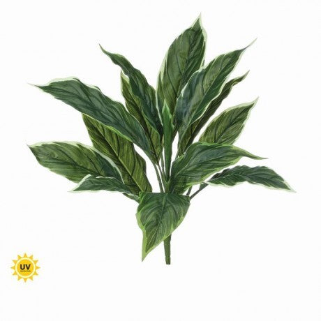 UV Protect Garden Hosta Bush