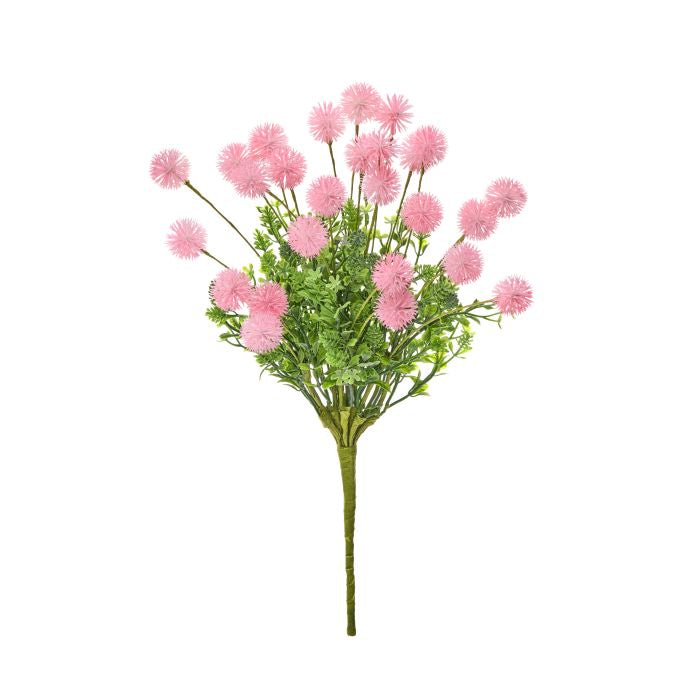 Pink Gomphrena Bush