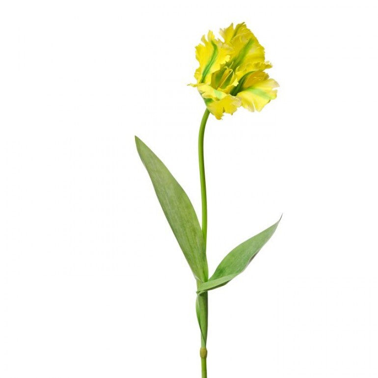 28" Yellow Parrot Tulip Spray