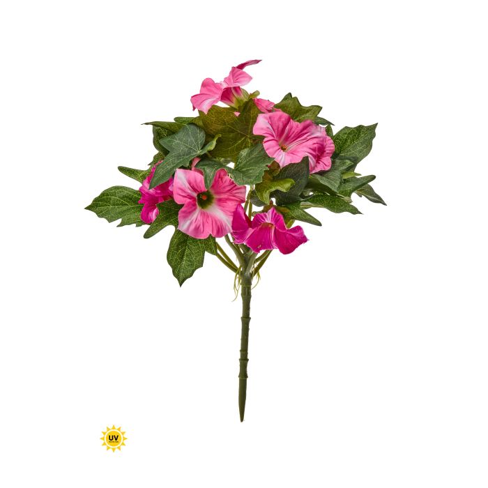 UV Protect Pink Petunia Bush