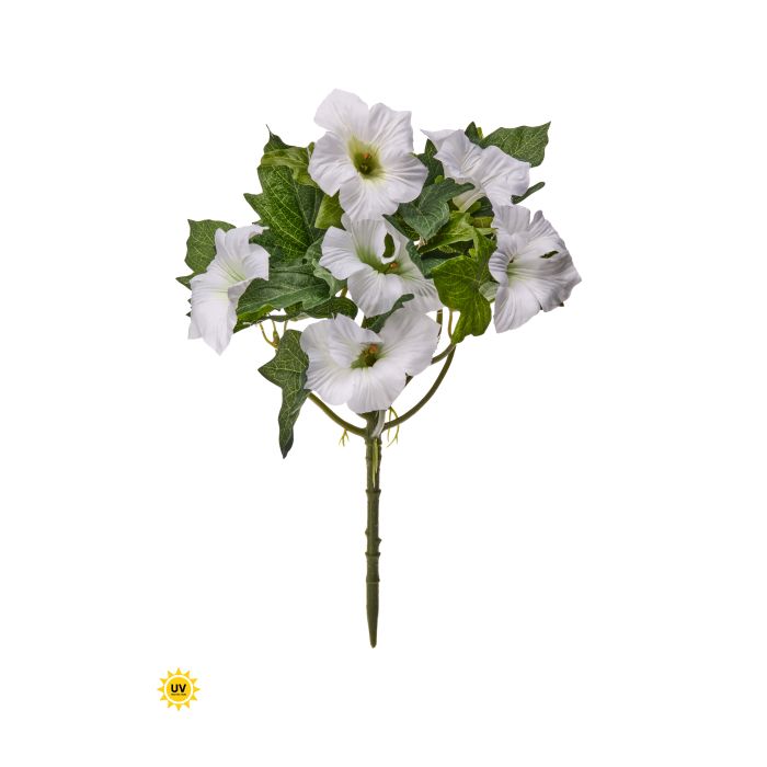 UV Protect White Petunia Bush