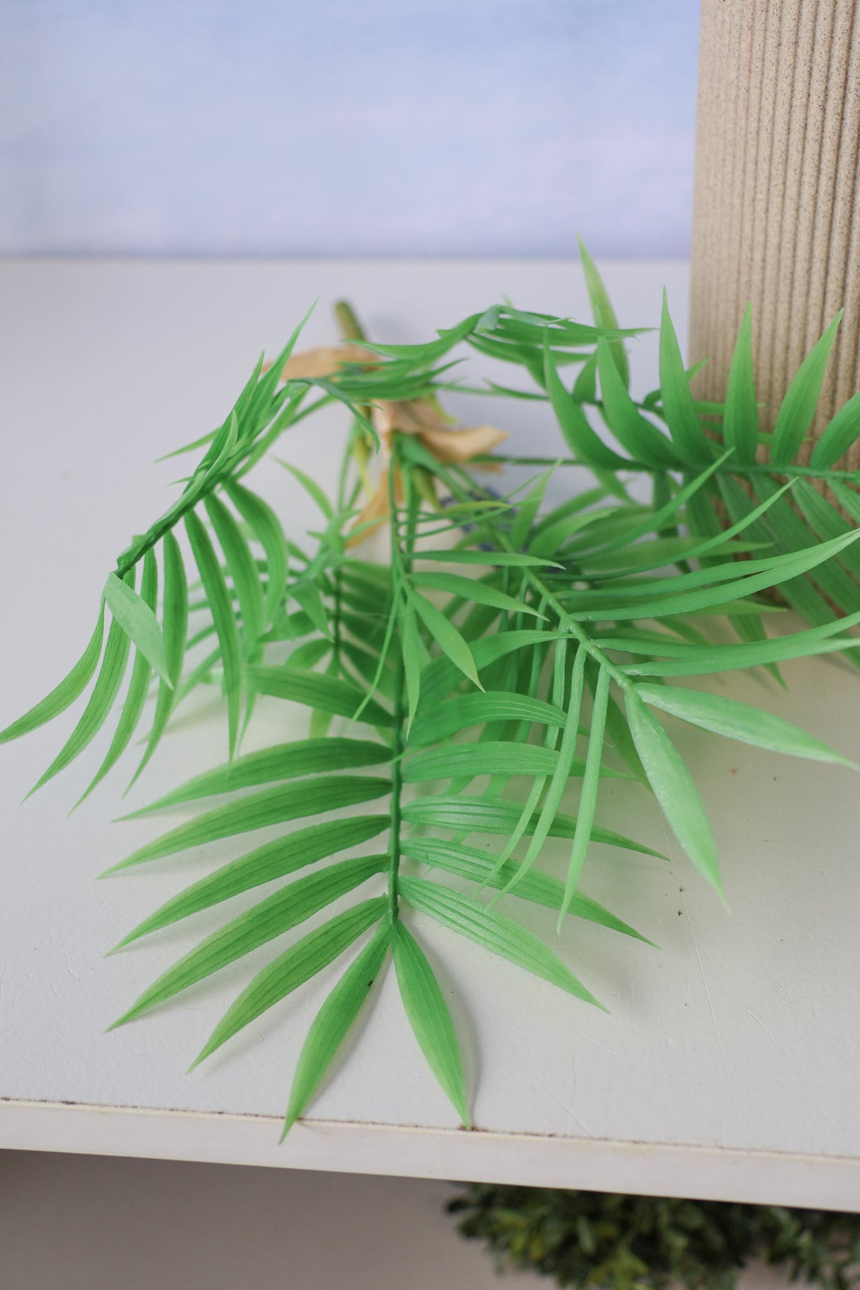 Carpe Diem Mini Palm Bush