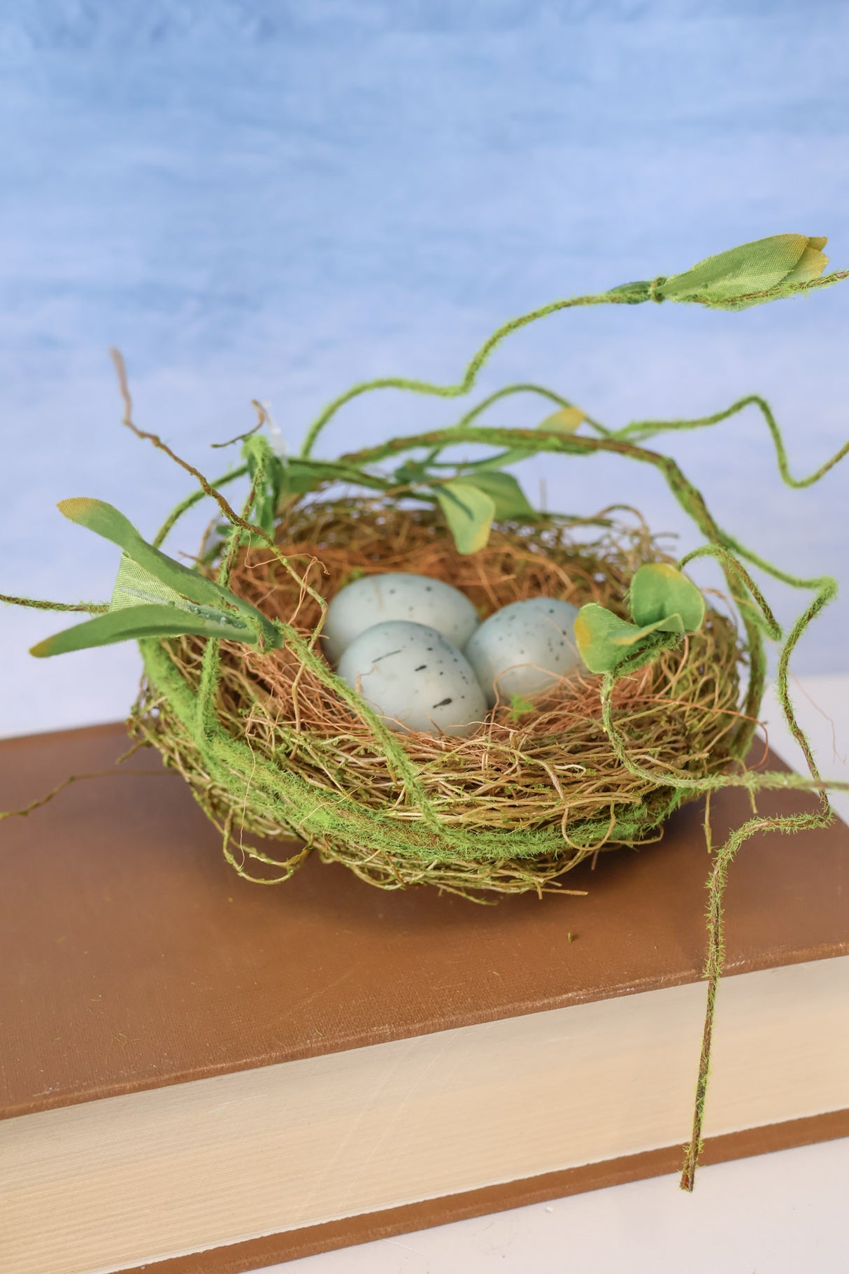 Bird Nest w/Eggs