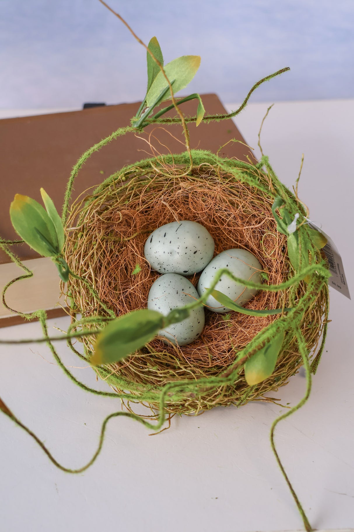 Bird Nest w/Eggs