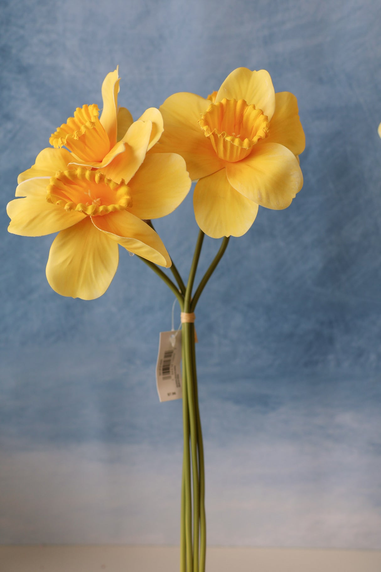 Beautiful Life Daffadilly Bundle