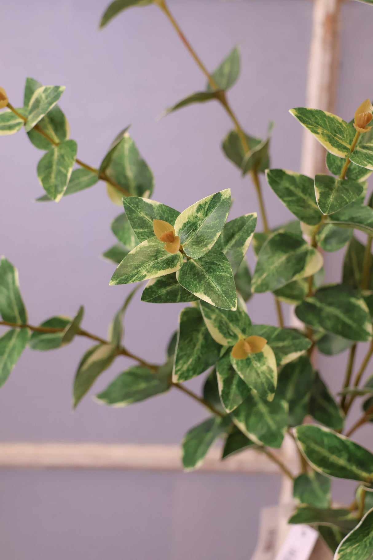 Captured In Time Foliage Stem