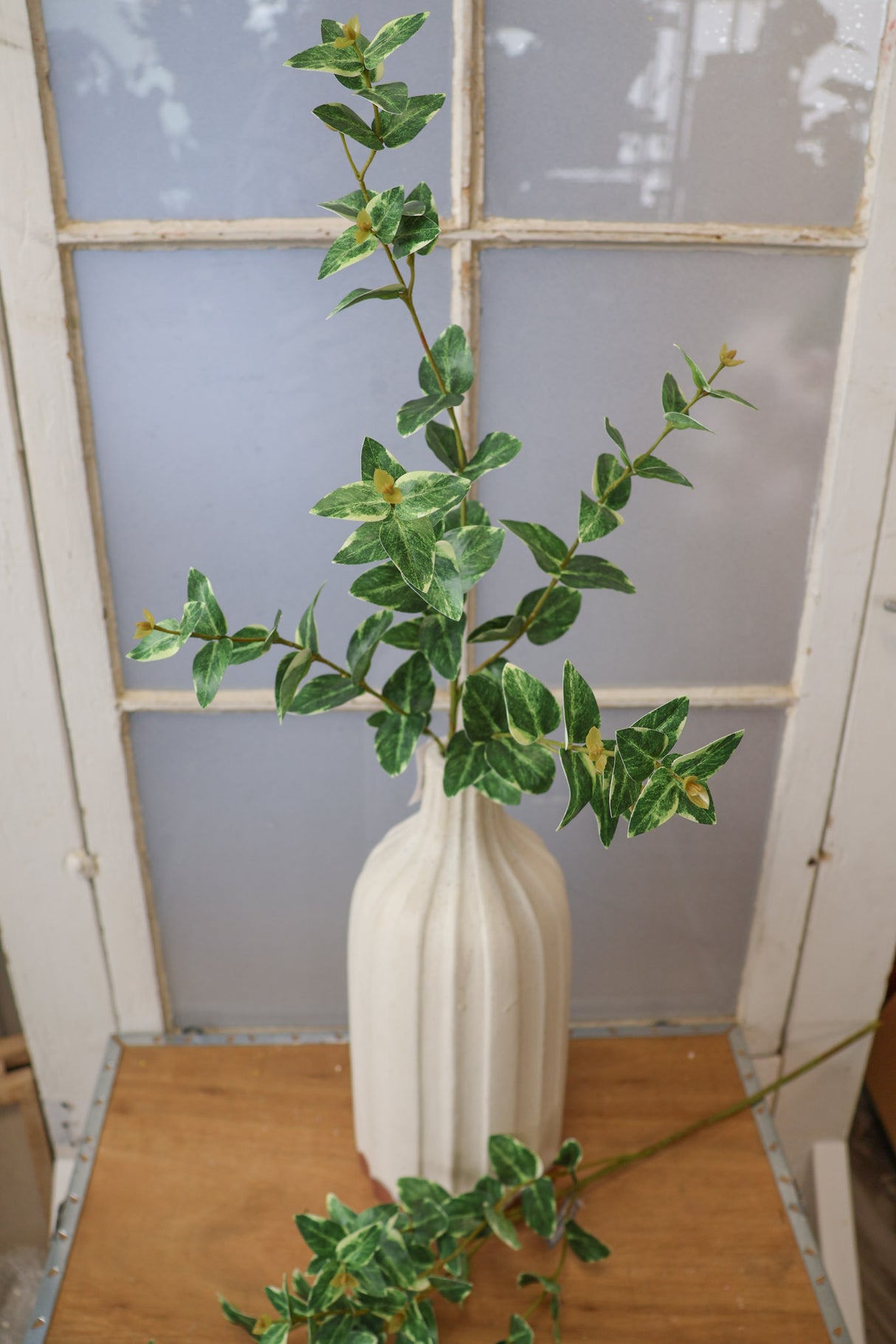 Captured In Time Foliage Stem