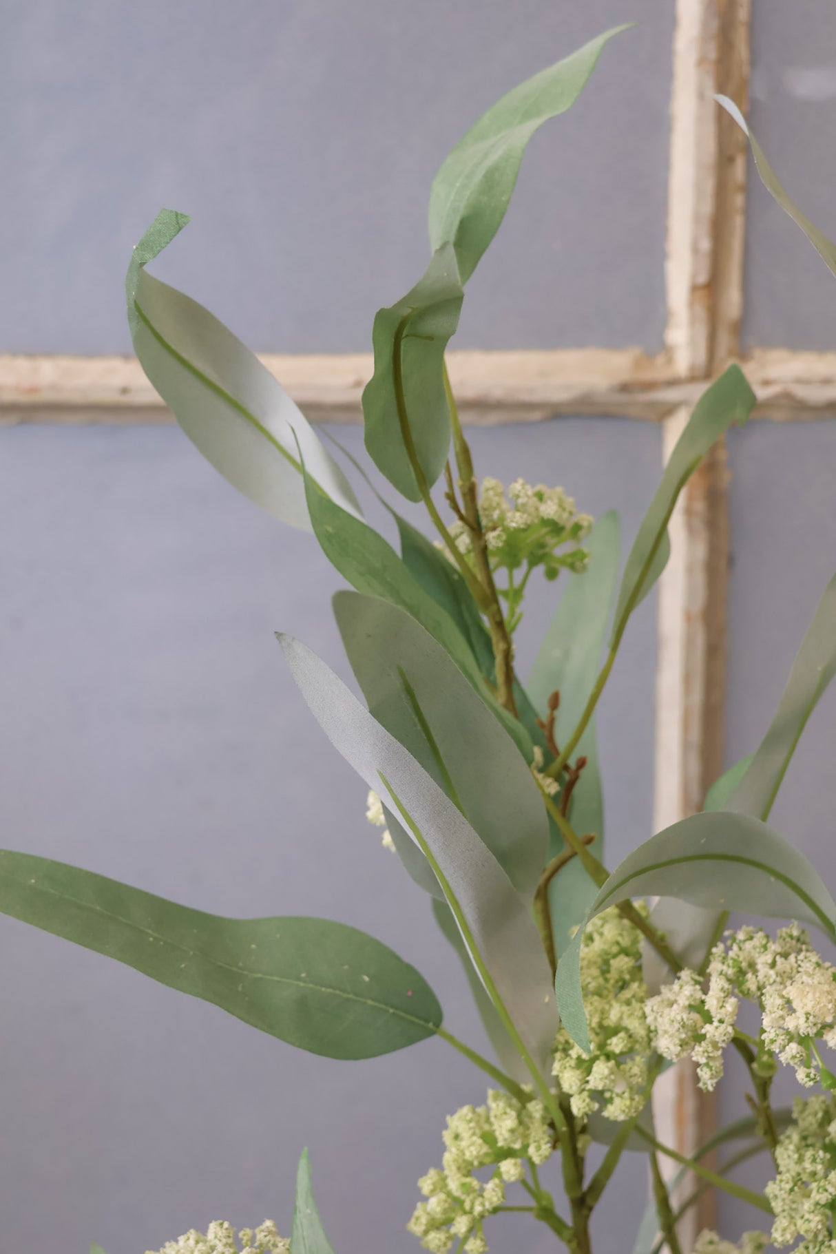 Classic Eucalyptus Spray