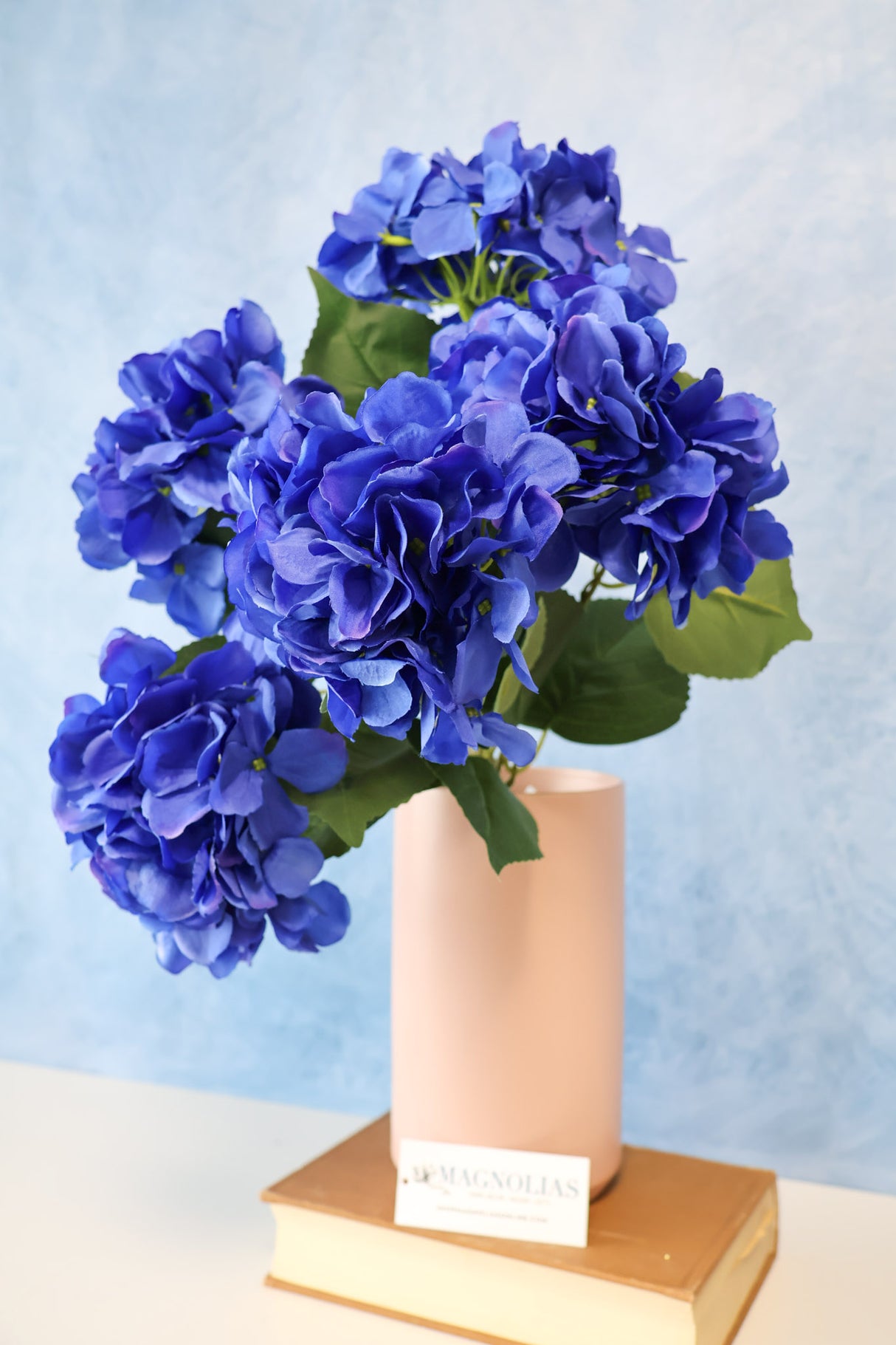 Blue Hydrangea Bush
