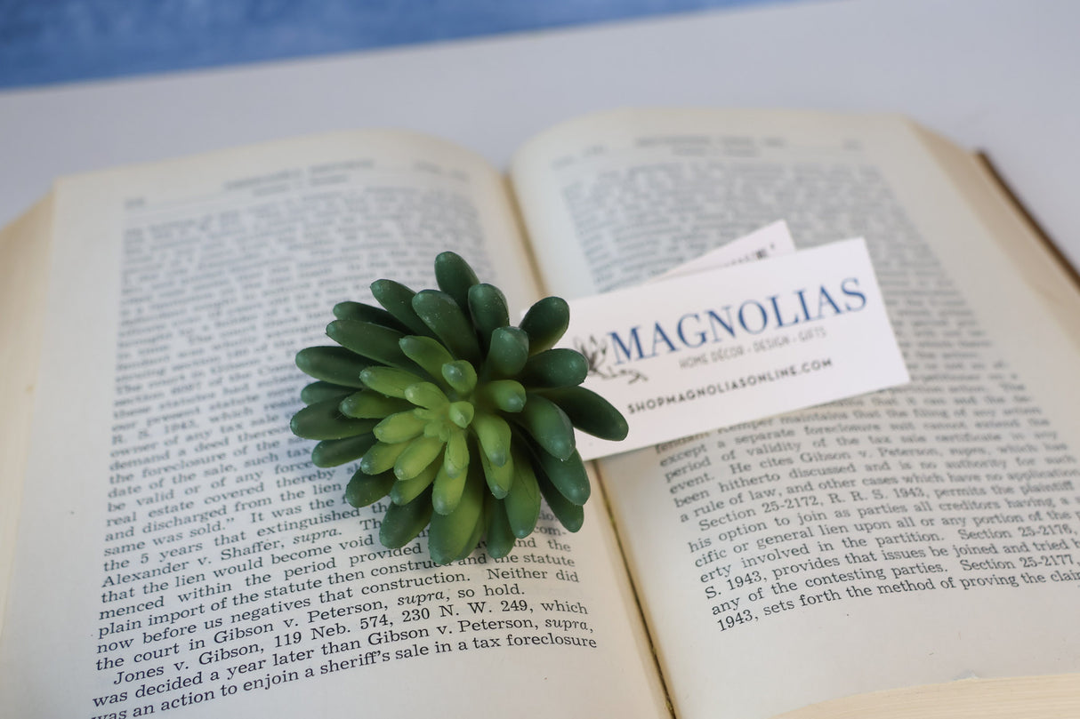 Marietta Finger Succulent