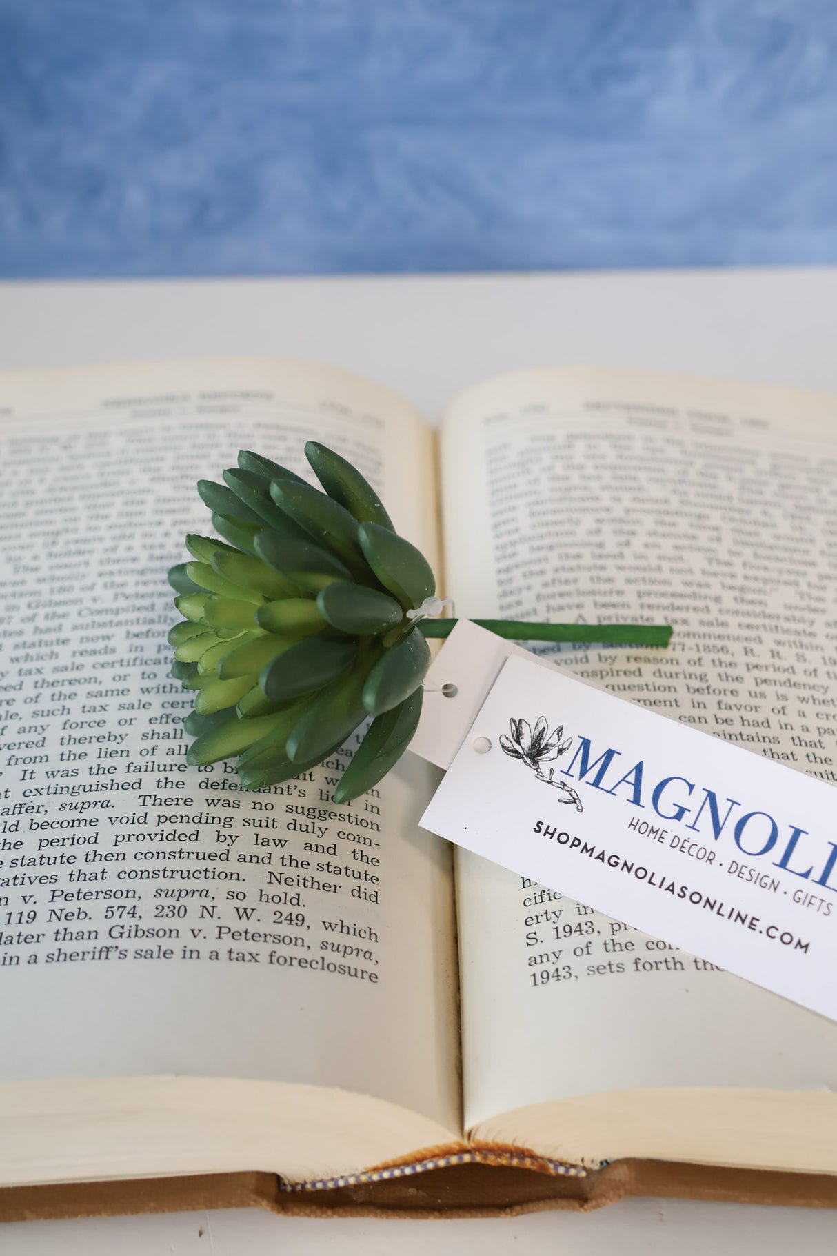 Marietta Finger Succulent