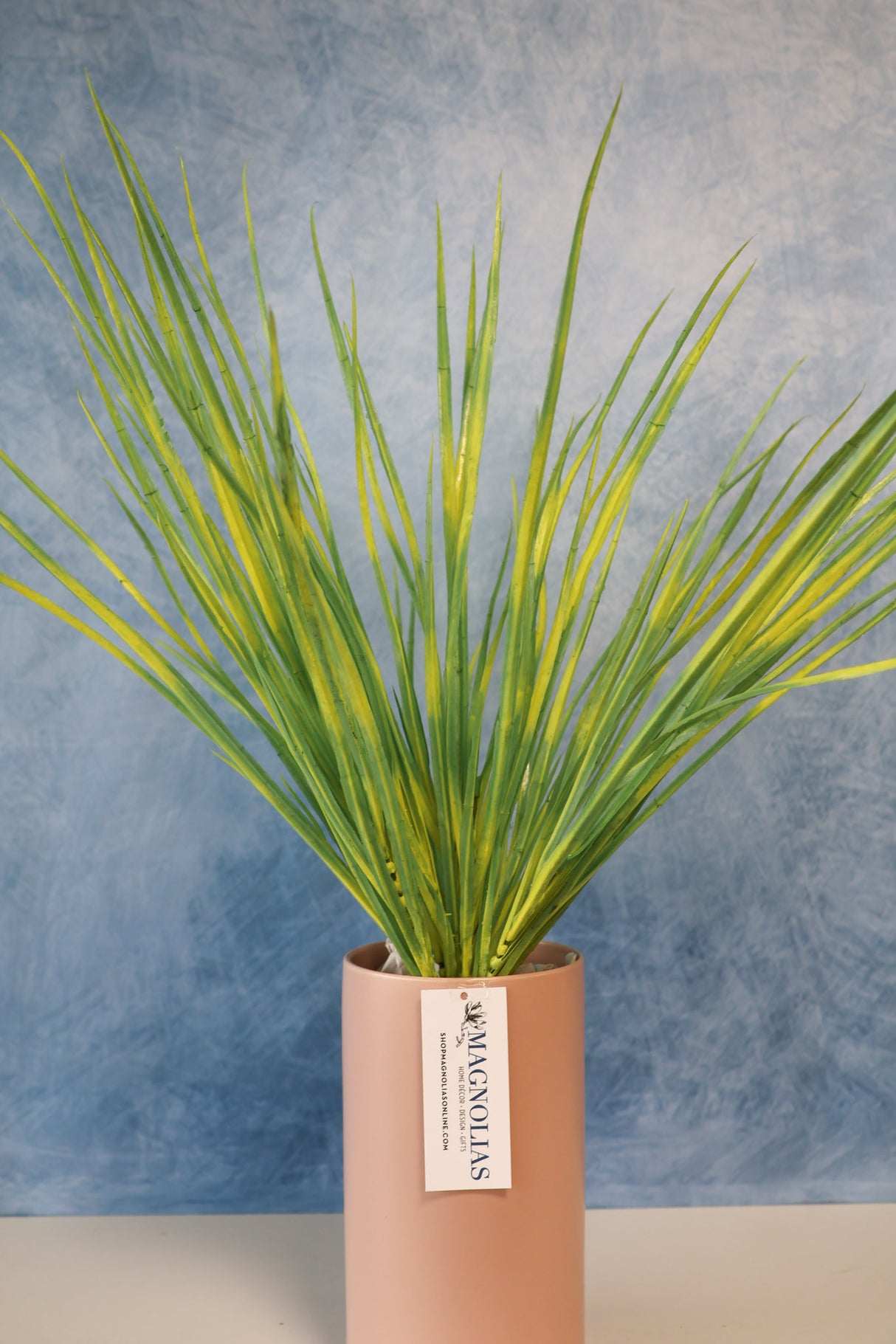Pacific Grove Zebra Grass Bush