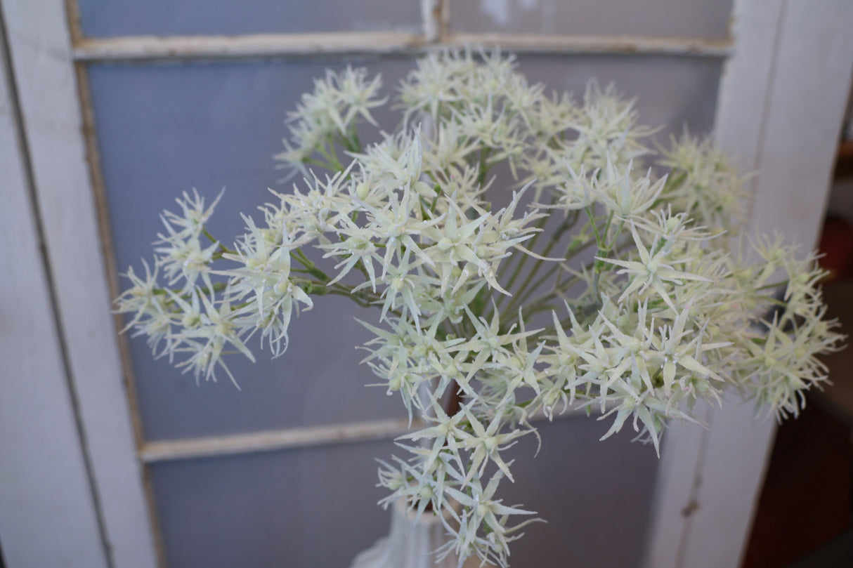 Grand Garden Allium Stem