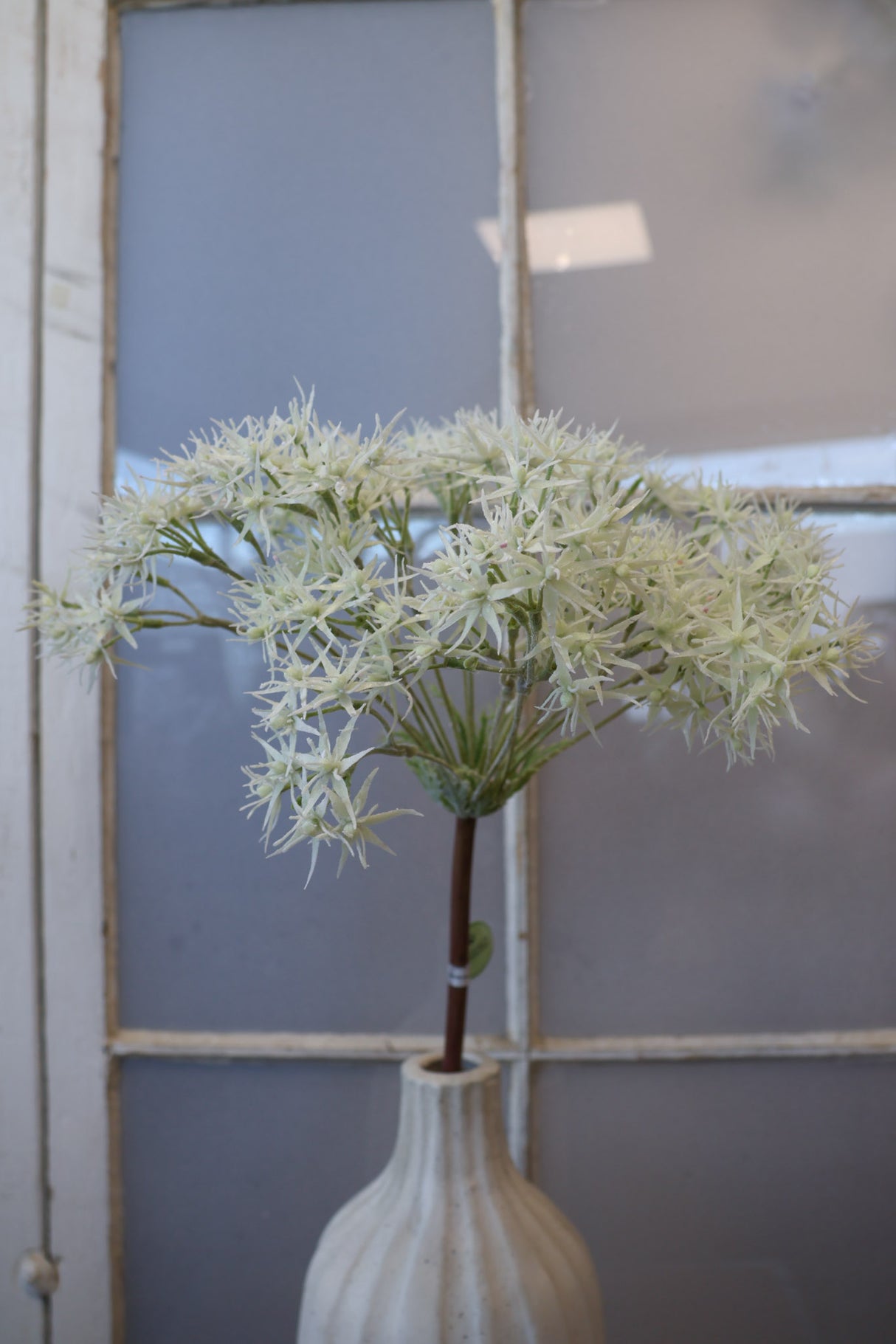 Grand Garden Allium Stem