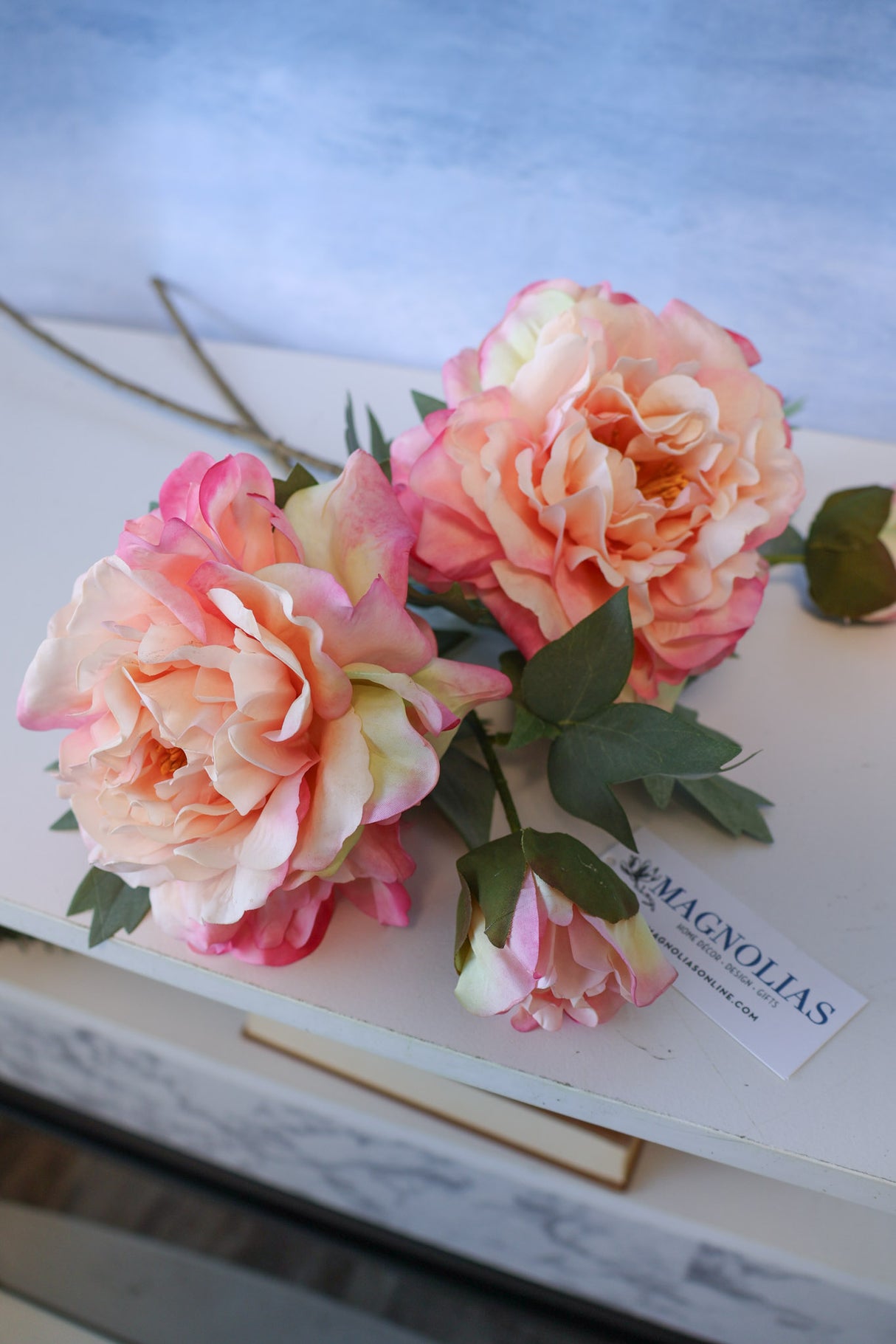 Fresh Pink Peony Stem