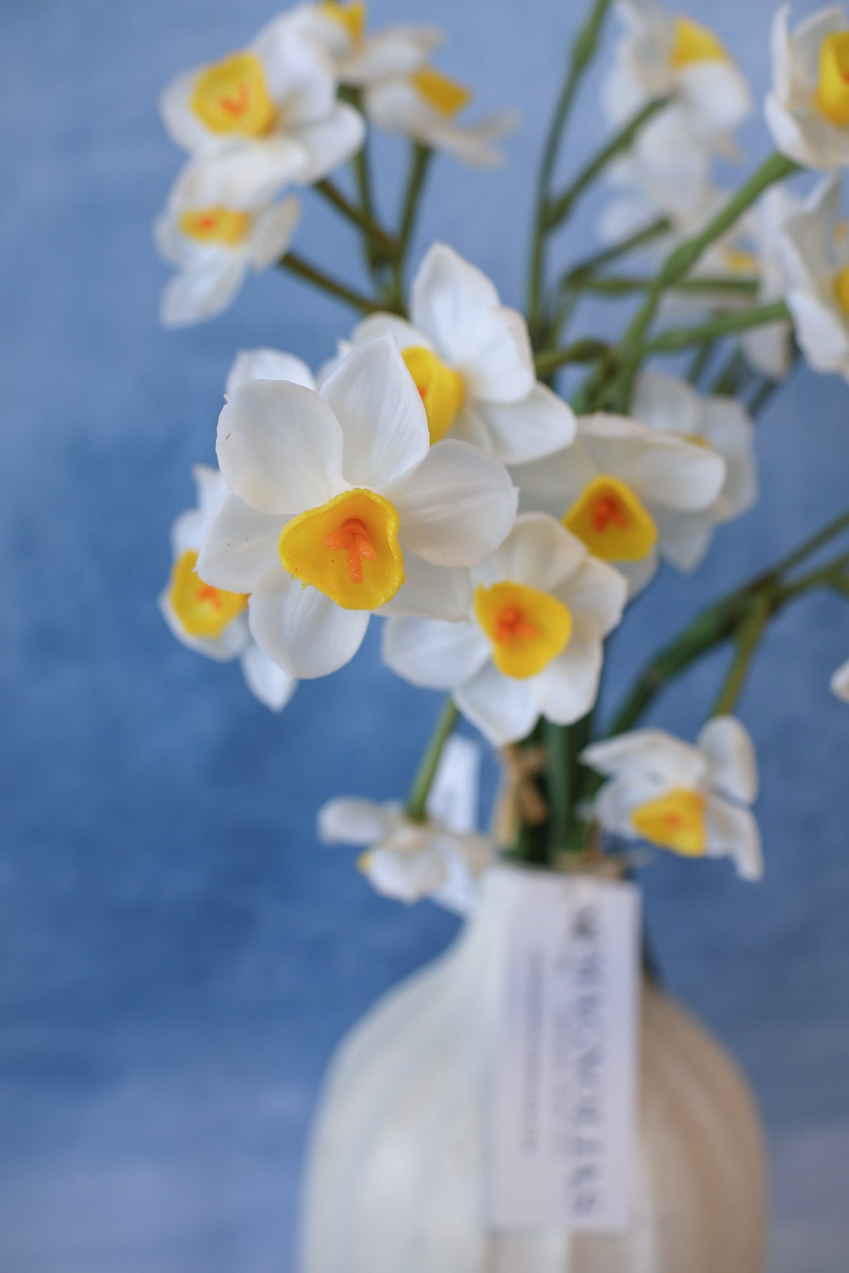 Cream Real Touch Daffadilly Bundle