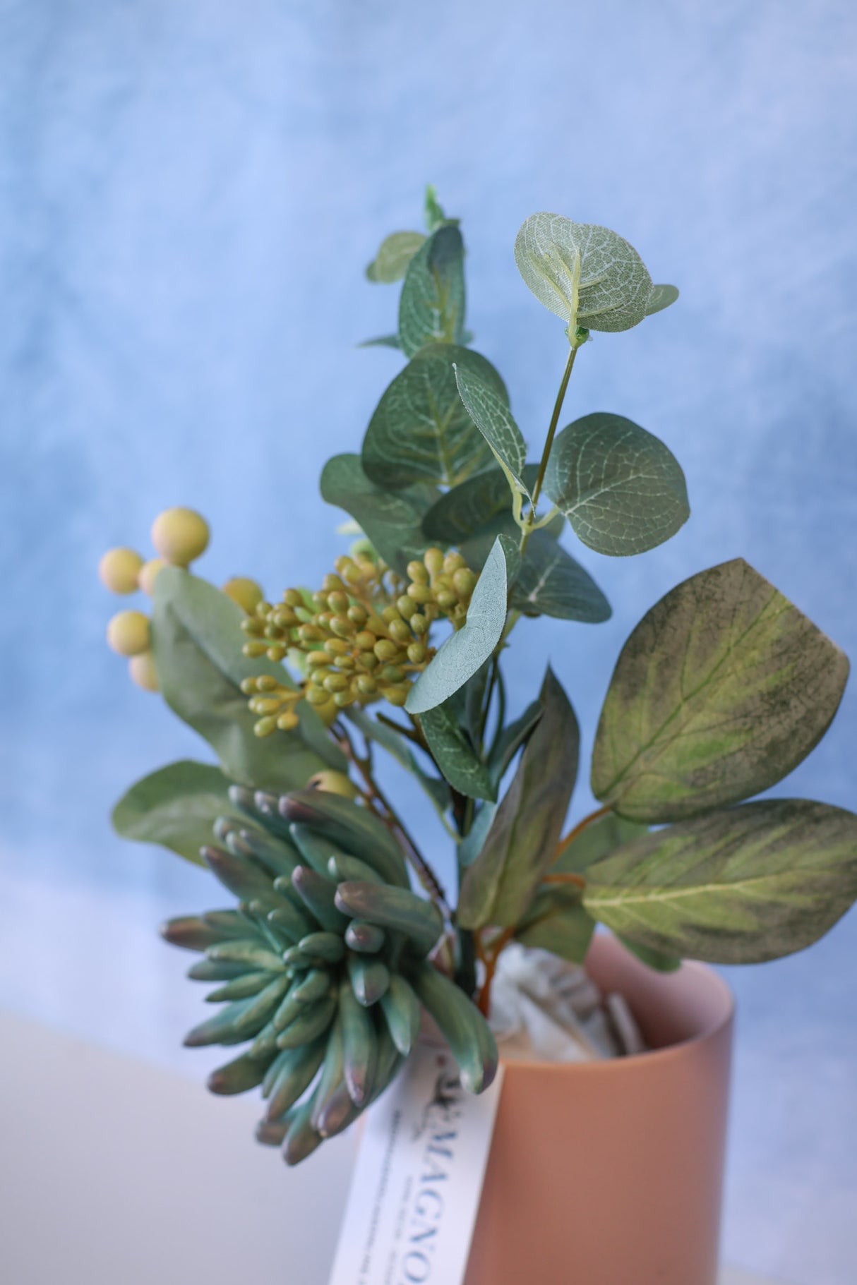 Succulent Berry Pick